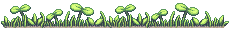 Green grass divider